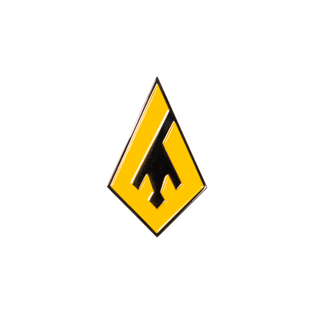 FFC Gold Pin